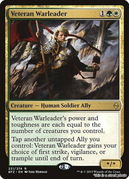 Veteran Warleader