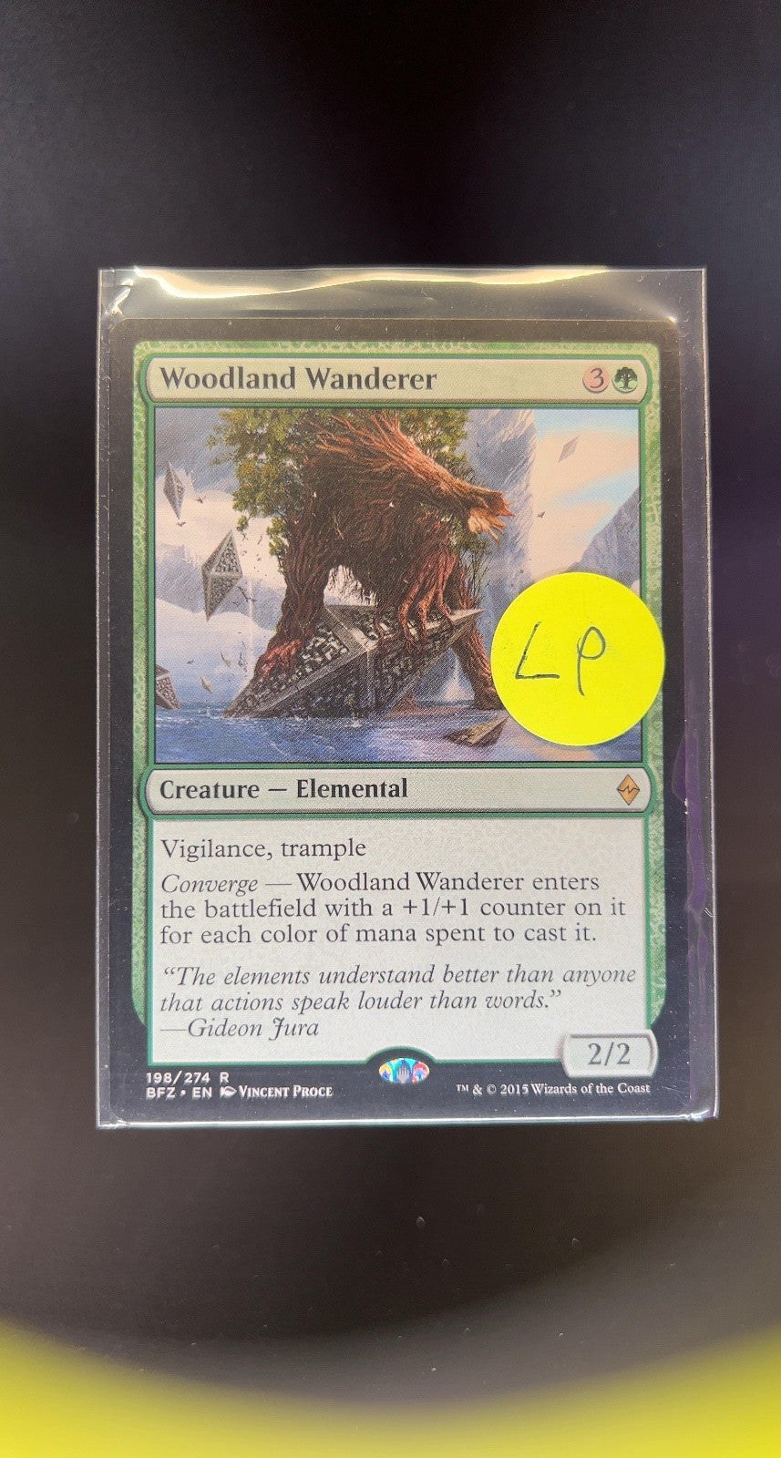 Woodland Wanderer