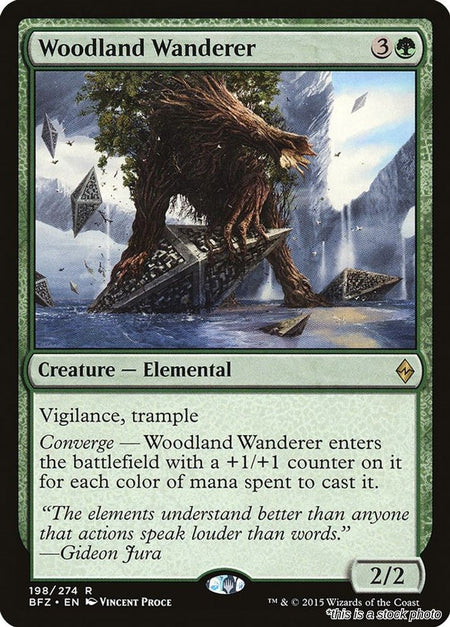 Woodland Wanderer