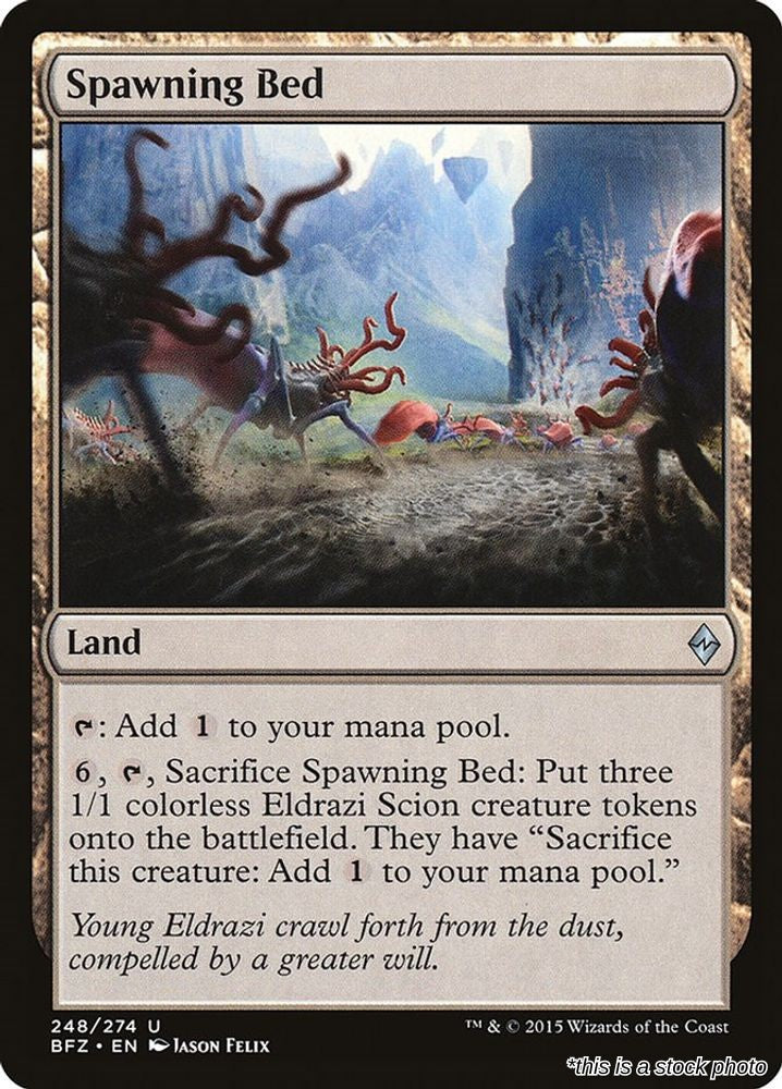 Spawning Bed