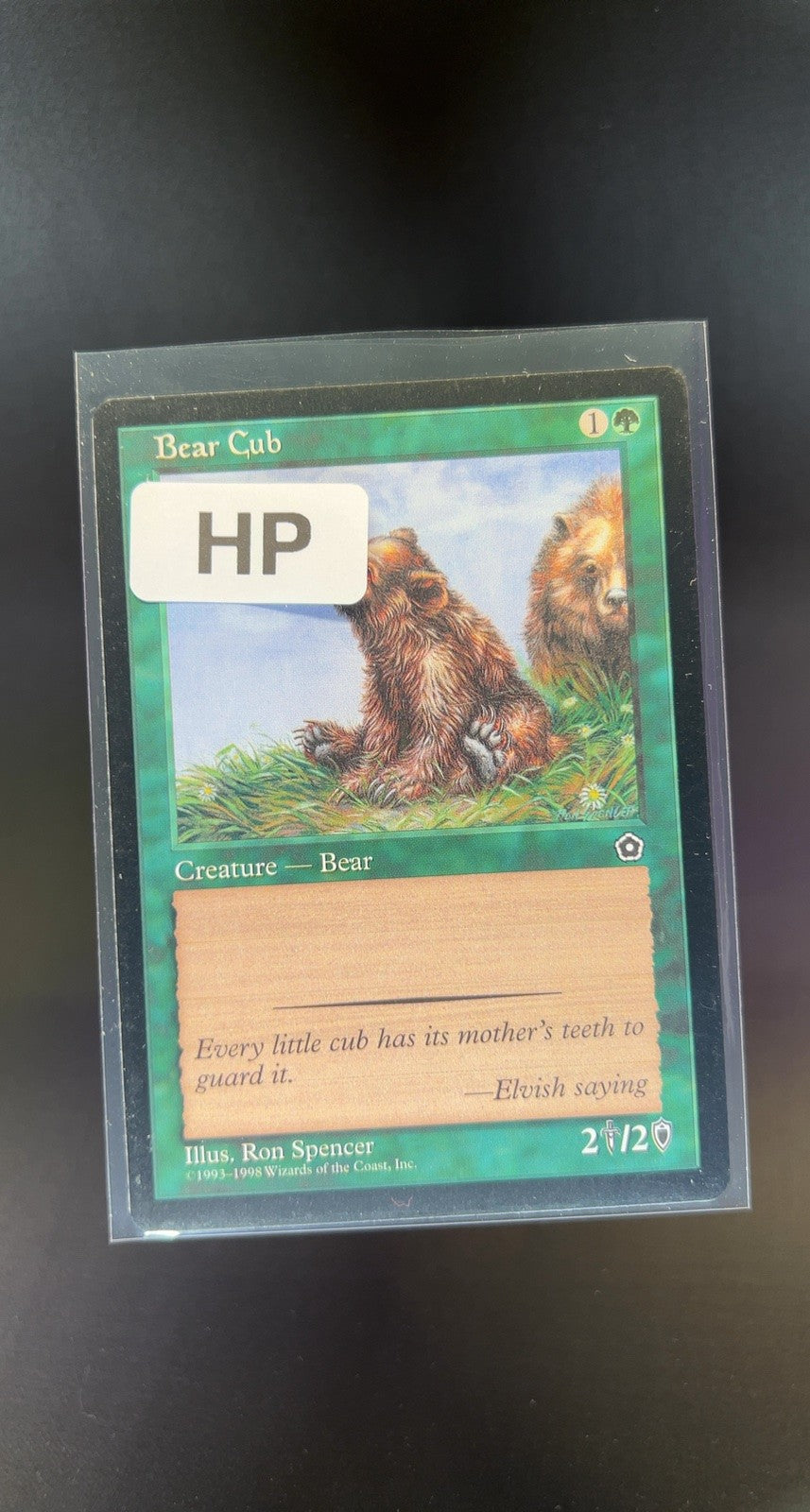 Bear Cub
