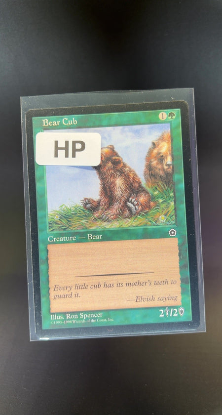 Bear Cub