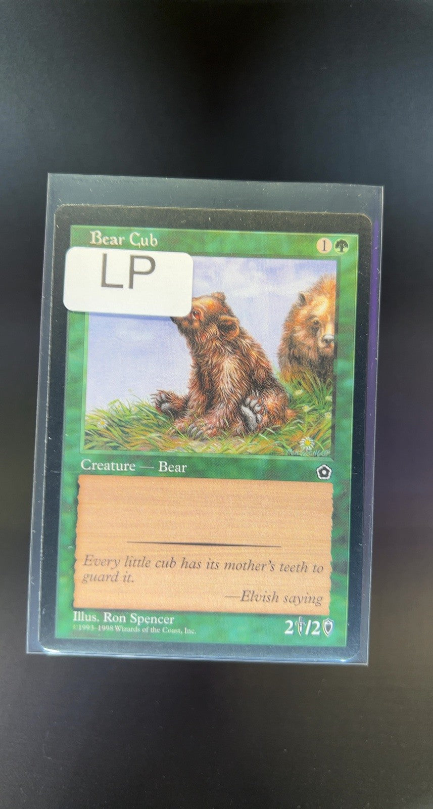 Bear Cub