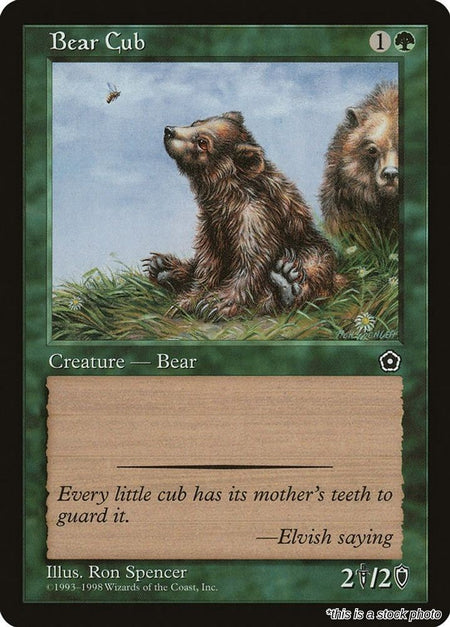 Bear Cub