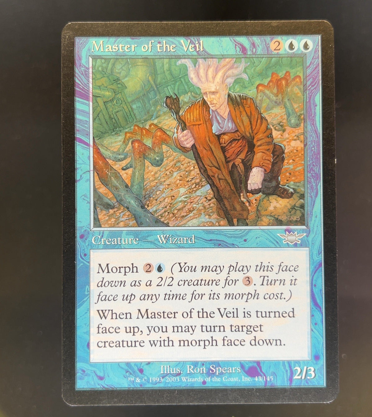 Master of the Veil