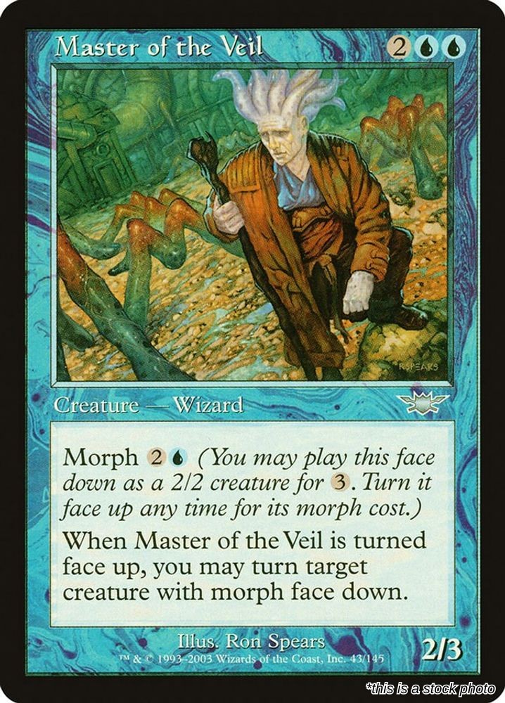 Master of the Veil