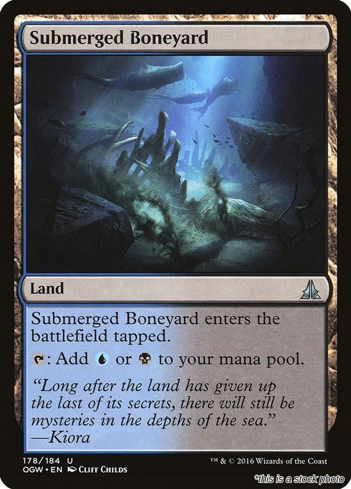 Submerged Boneyard