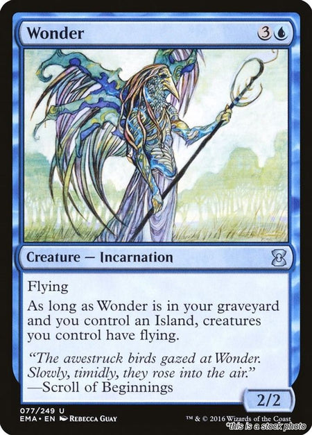 Wonder