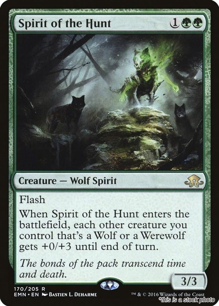 Spirit of the Hunt