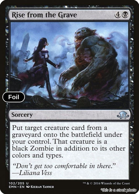 Rise from the Grave
