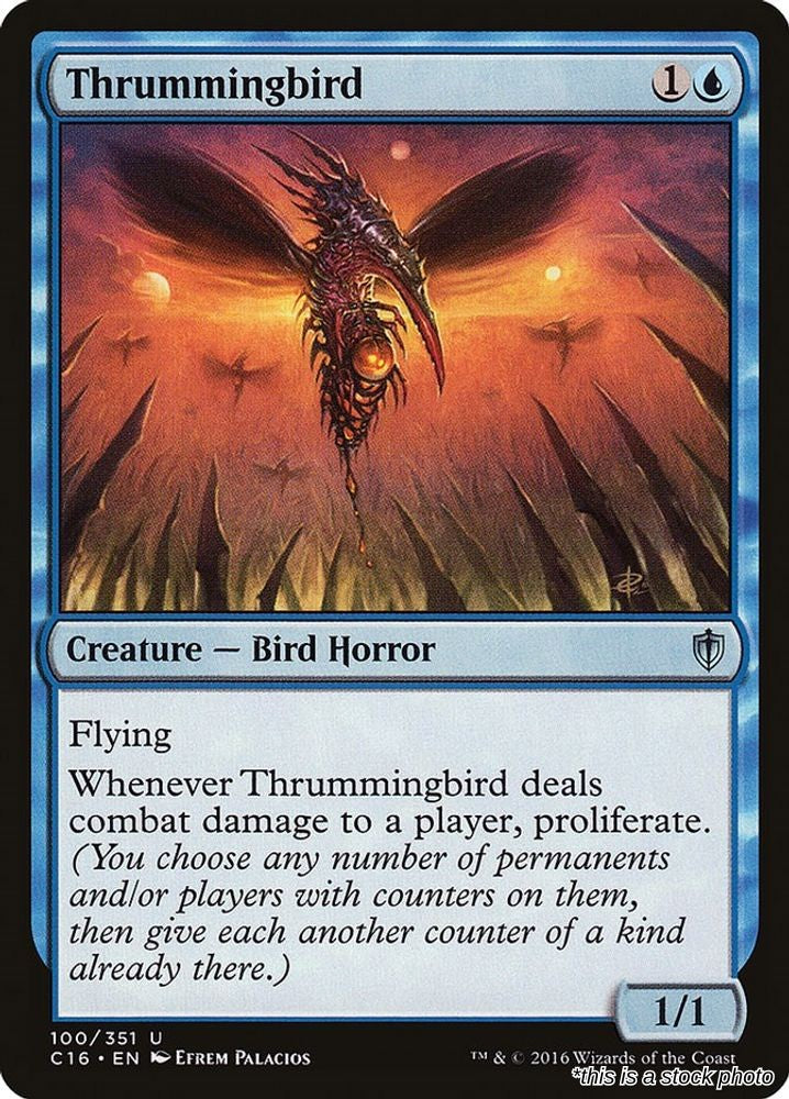 Thrummingbird