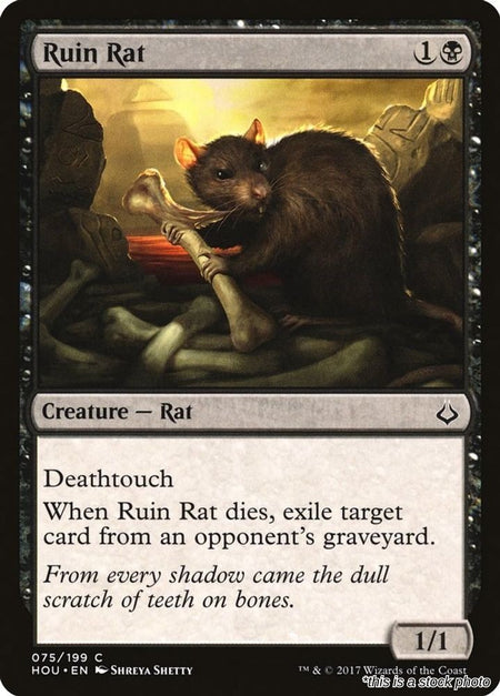 Ruin Rat