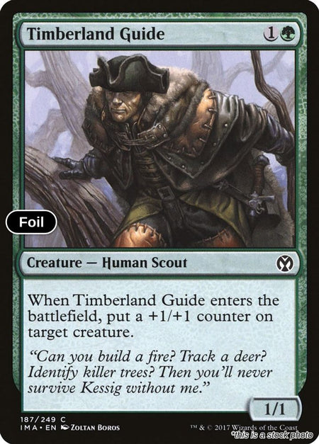 Timberland Guide