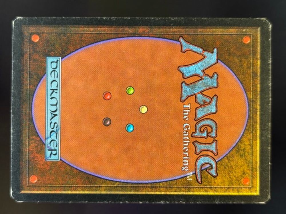 Scrubland (Back)