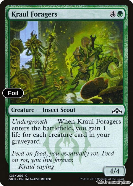 Kraul Foragers
