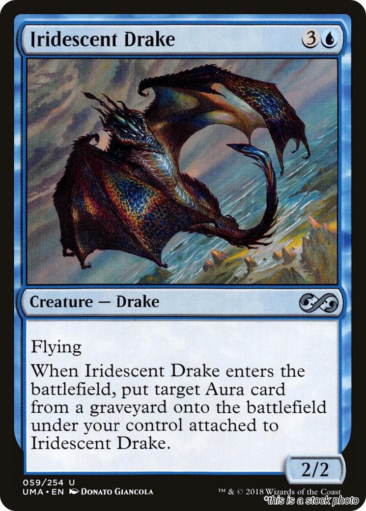 Iridescent Drake