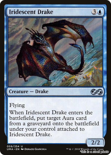 Iridescent Drake