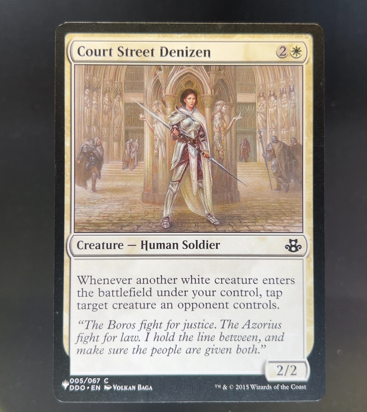 Court Street Denizen
