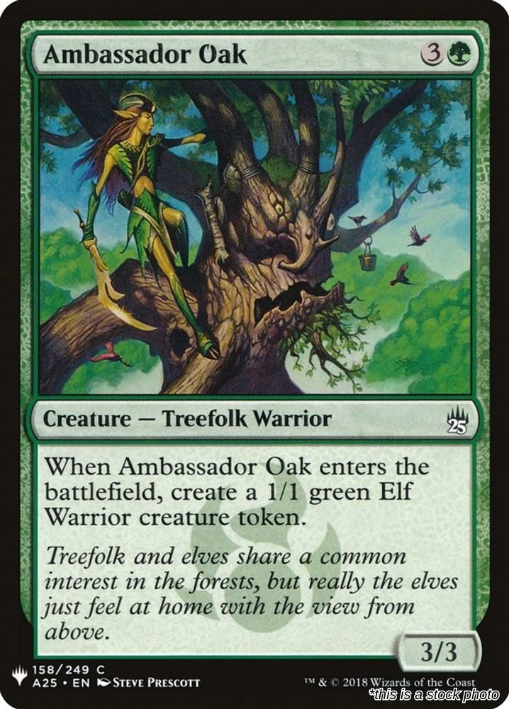 Ambassador Oak
