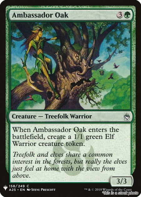 Ambassador Oak