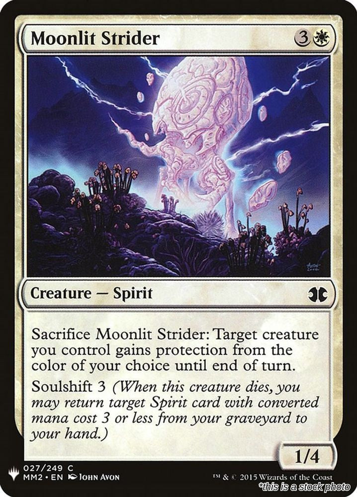 Moonlit Strider