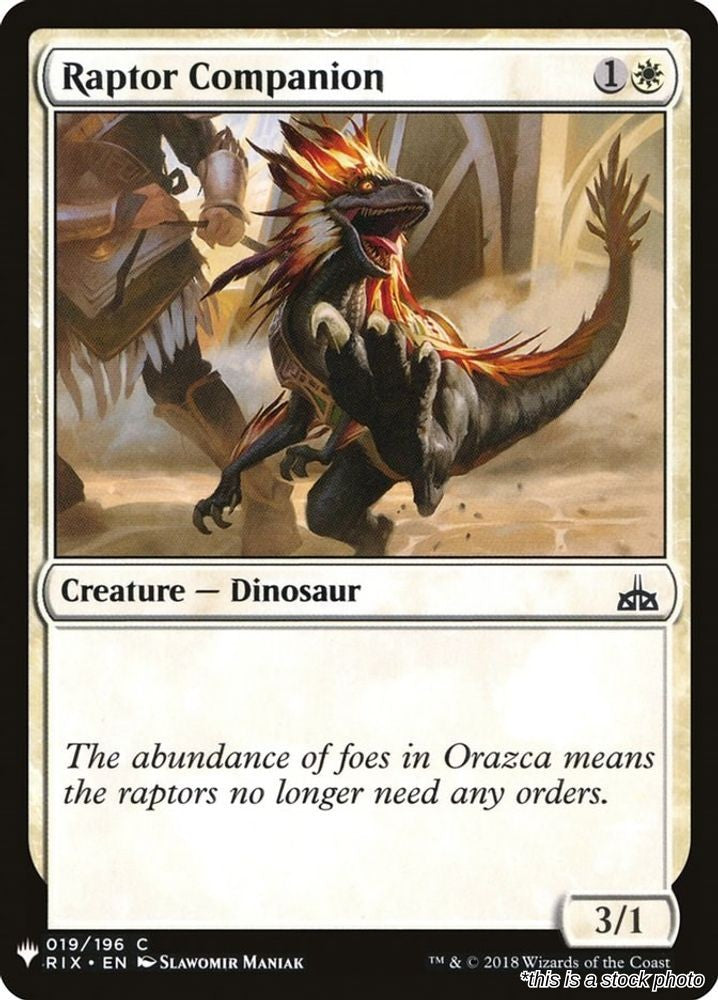 Raptor Companion