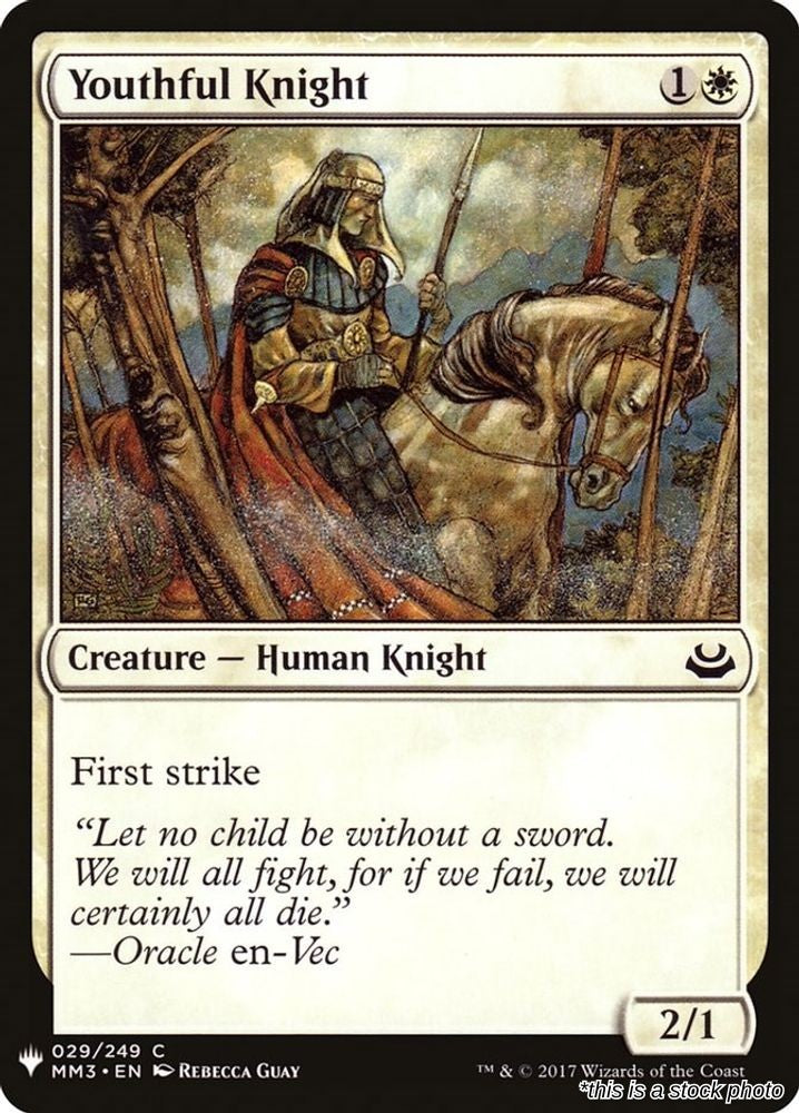 Youthful Knight
