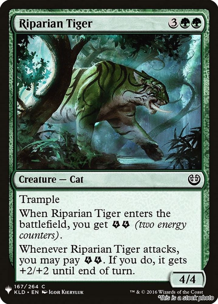 Riparian Tiger