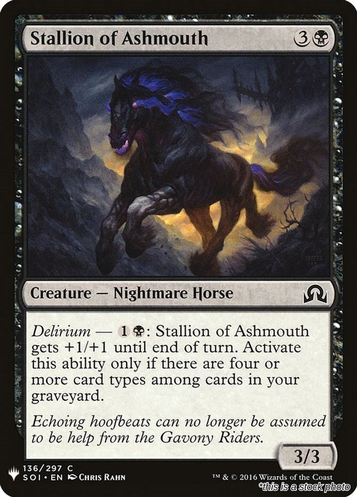 Stallion of Ashmouth