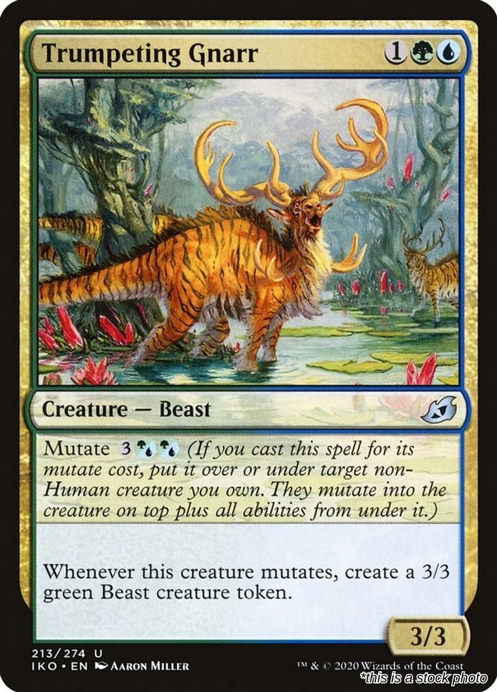 Trumpeting Gnarr