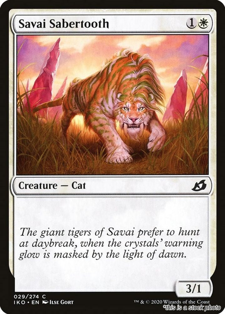 Savai Sabertooth
