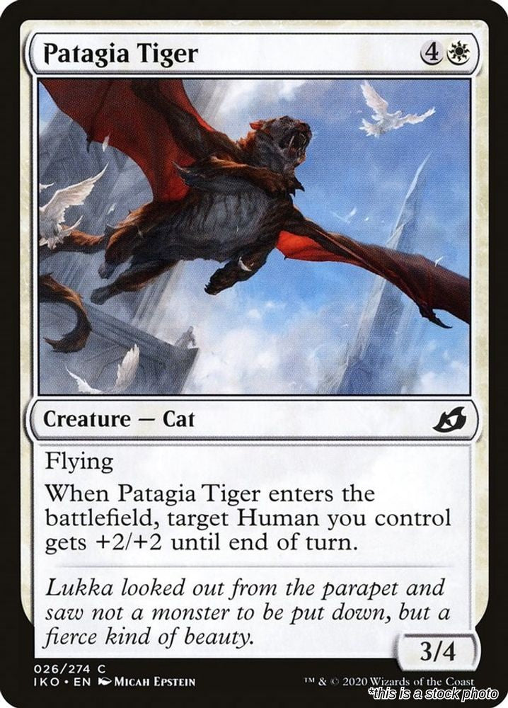 Patagia Tiger