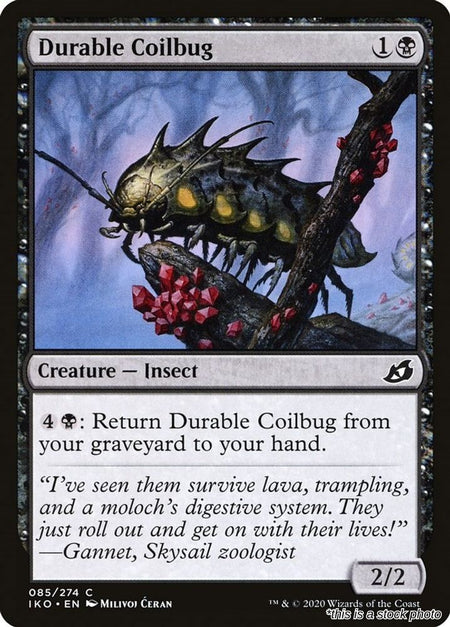 Durable Coilbug