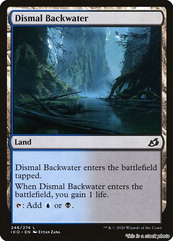 Dismal Backwater