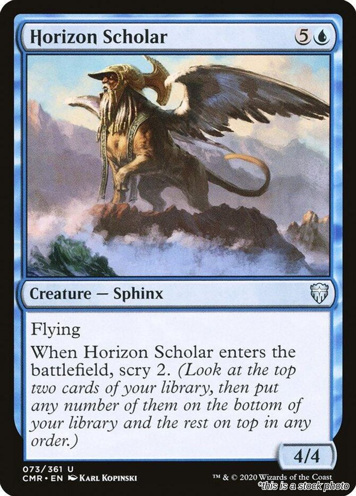 Horizon Scholar