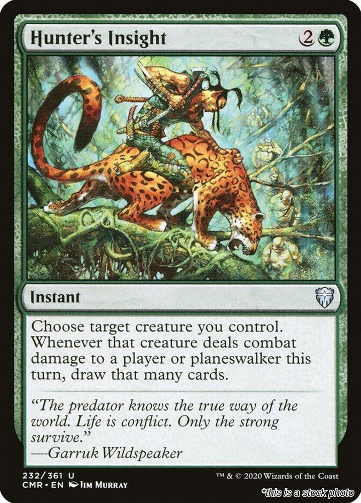 Hunter's Insight