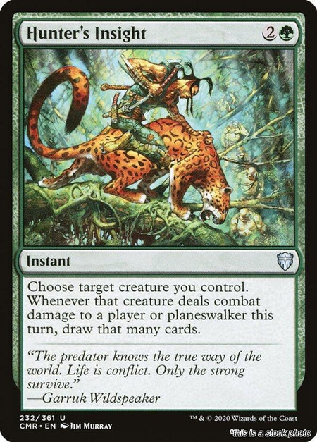 Hunter's Insight