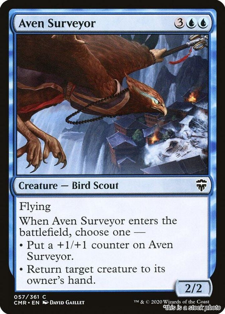 Aven Surveyor