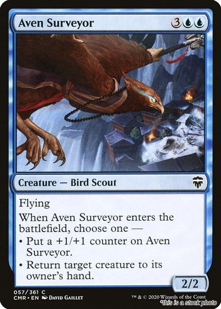 Aven Surveyor