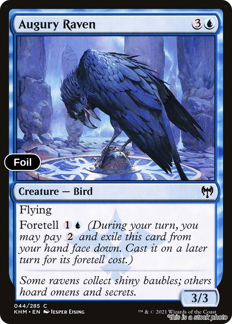 Augury Raven
