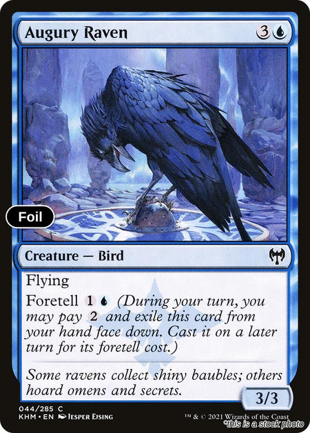 Augury Raven