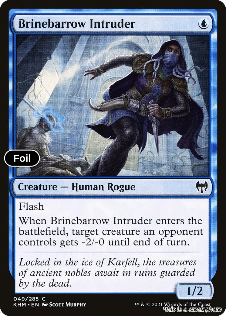 Brinebarrow Intruder