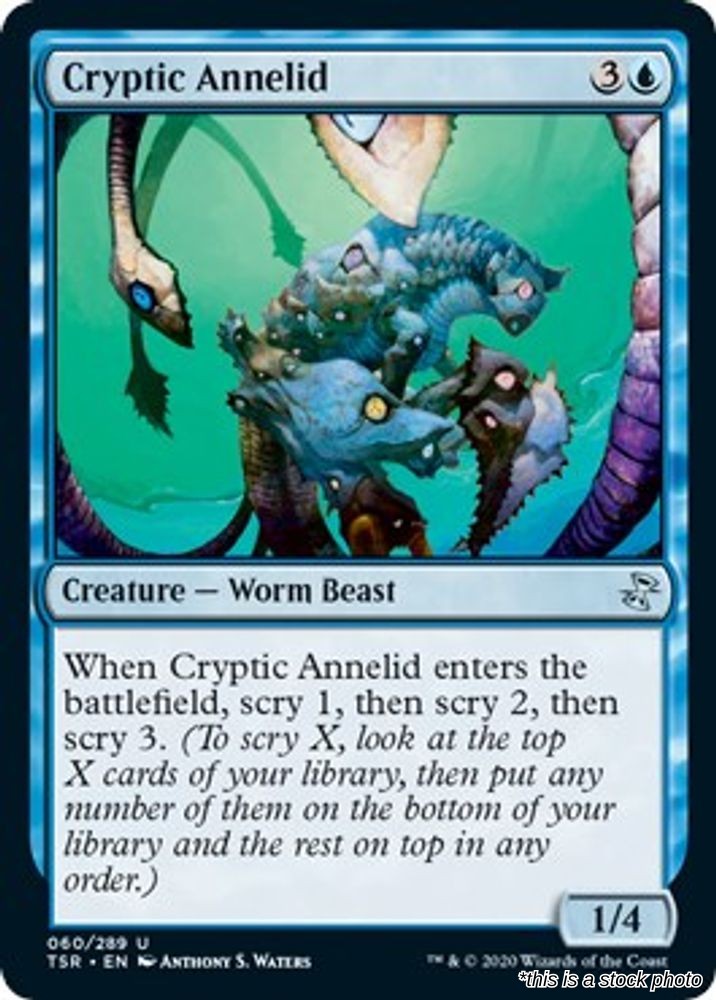 Cryptic Annelid