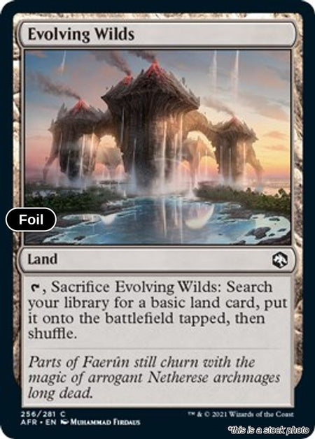 Evolving Wilds