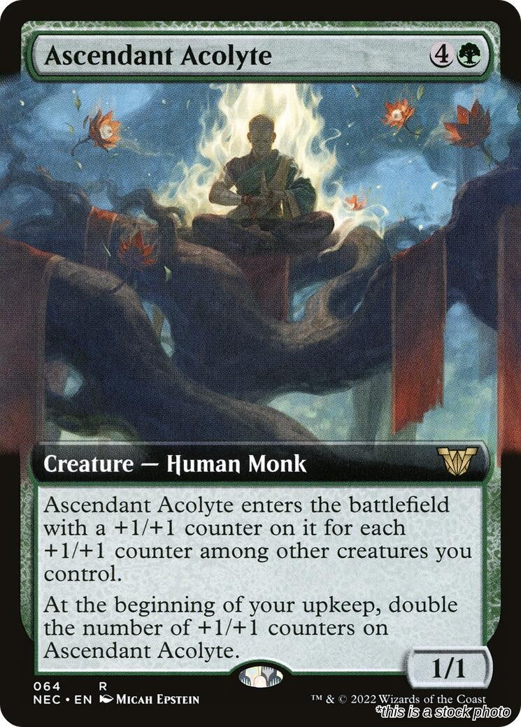 Ascendant Acolyte (Extended Art)