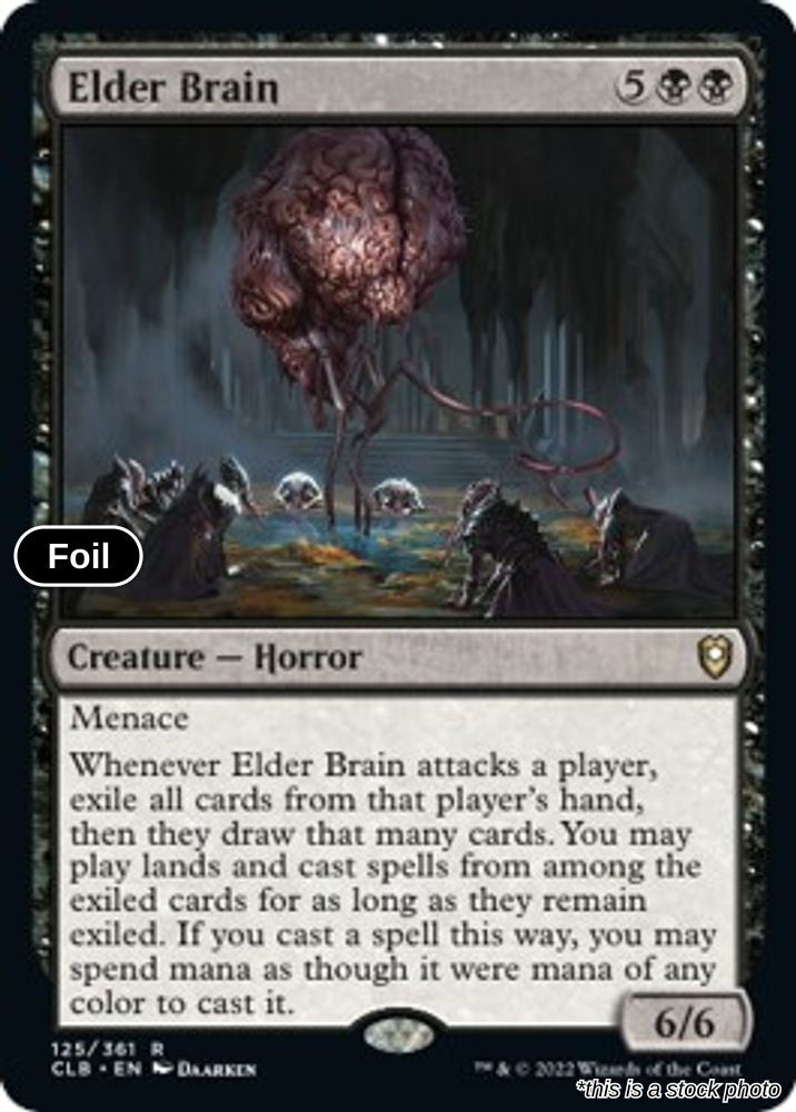 Elder Brain
