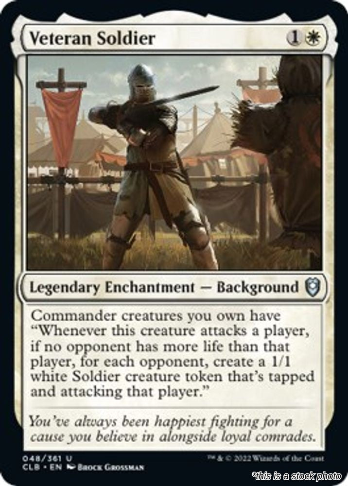 Veteran Soldier