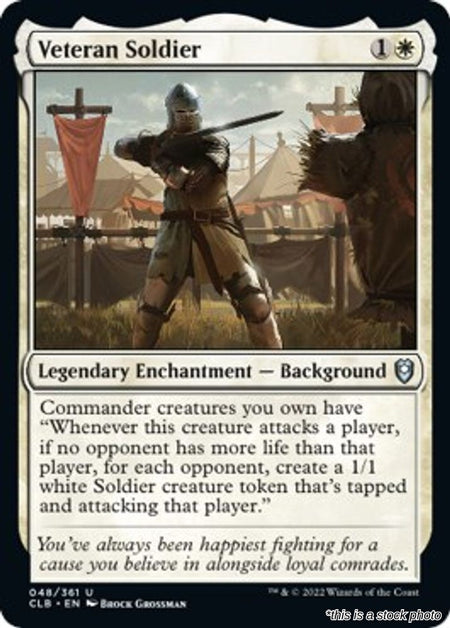Veteran Soldier