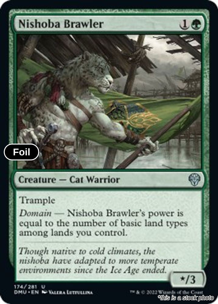 Nishoba Brawler