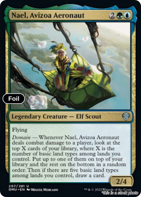 Nael, Avizoa Aeronaut
